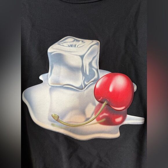 ACNE STUDIOS Sweatshirt Ice Cube Cherry Flame Size M Rare From Diner Collection - Picture 11 of 11